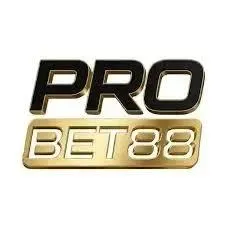 PROBET88 - Petualangan Seru dalam TPS yang Menggugah Adrenalin